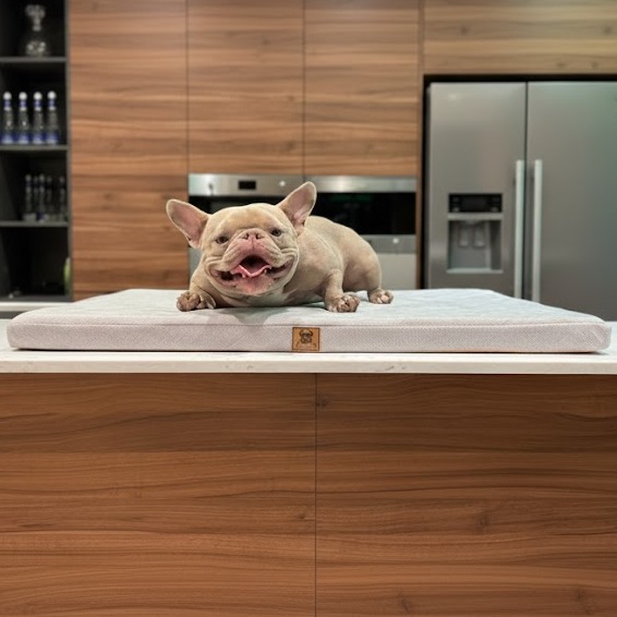 Матрас для животных "Стэйбл" AlfaBulls